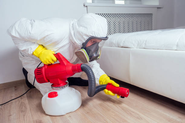 Best Pest Removal Services  in Eagar, AZ