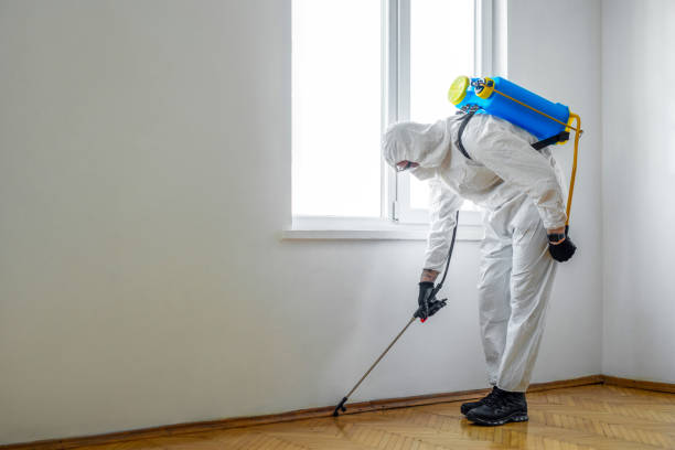 Best Pest Control for Businesses  in Eagar, AZ
