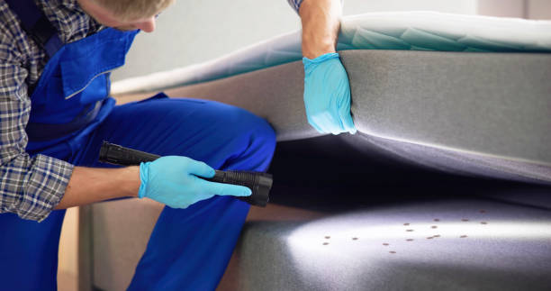 Best Pest Control Near Me  in Eagar, AZ