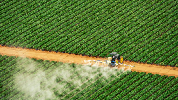 Best Pest Control Cost  in Eagar, AZ