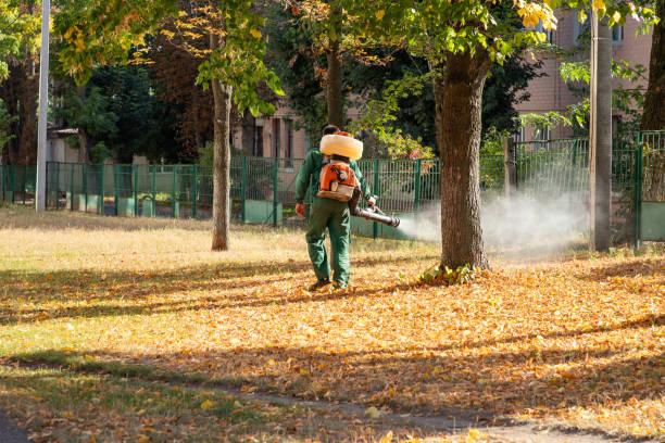 Best Emergency Pest Control  in Eagar, AZ