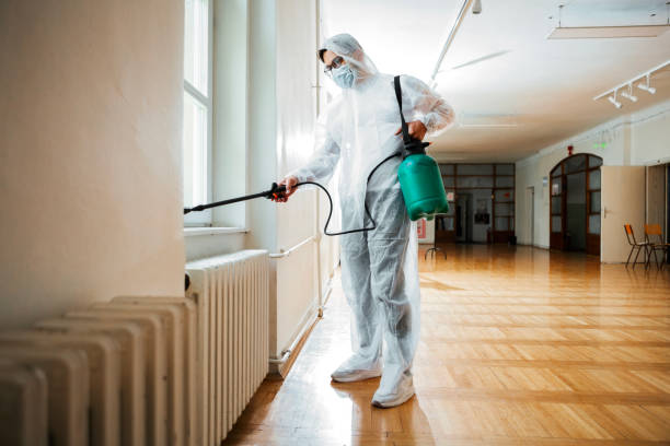 Best Residential Pest Control  in Eagar, AZ