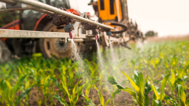 Professional Pest Control in Eagar, AZ